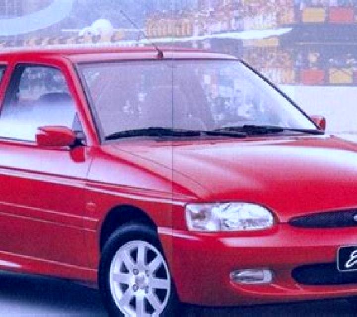 escort Zhangbang