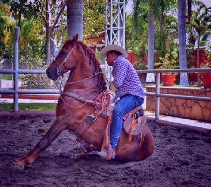 Escorts Chaguarpamba, Ecuador — Chicas y putas locales