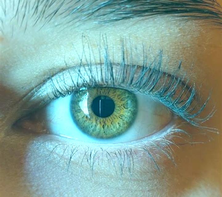 Escorts Farnas, Suecia — Chicas y putas locales