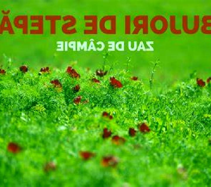 Escorts Hoa Cuong, Vietnam — Chicas y putas locales