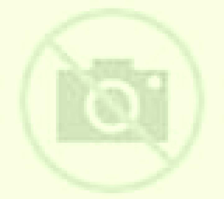 Escorts Peregian Springs, Australia — Chicas y putas locales
