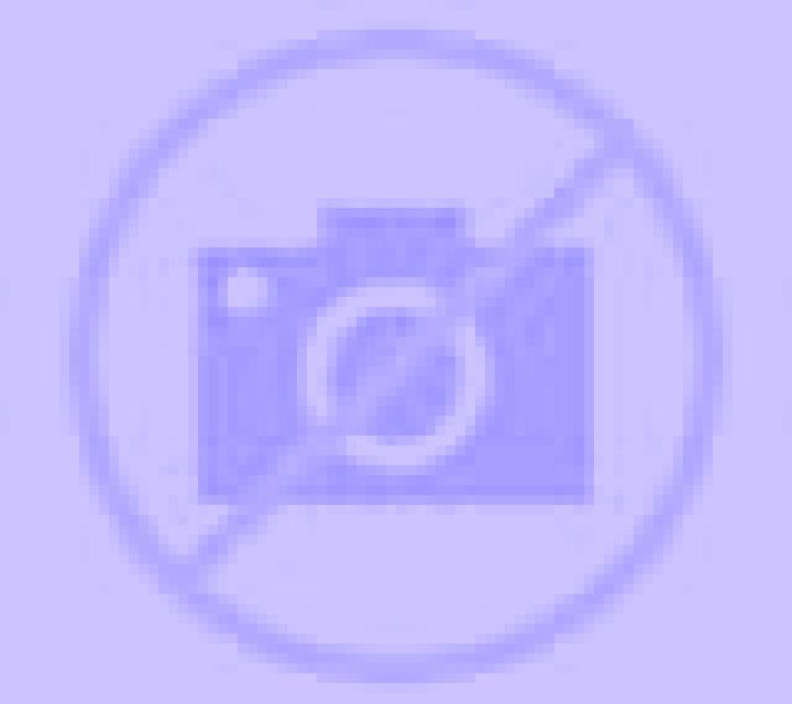 Escorts Rudnik nad Sanem, Polonia — Chicas y putas locales