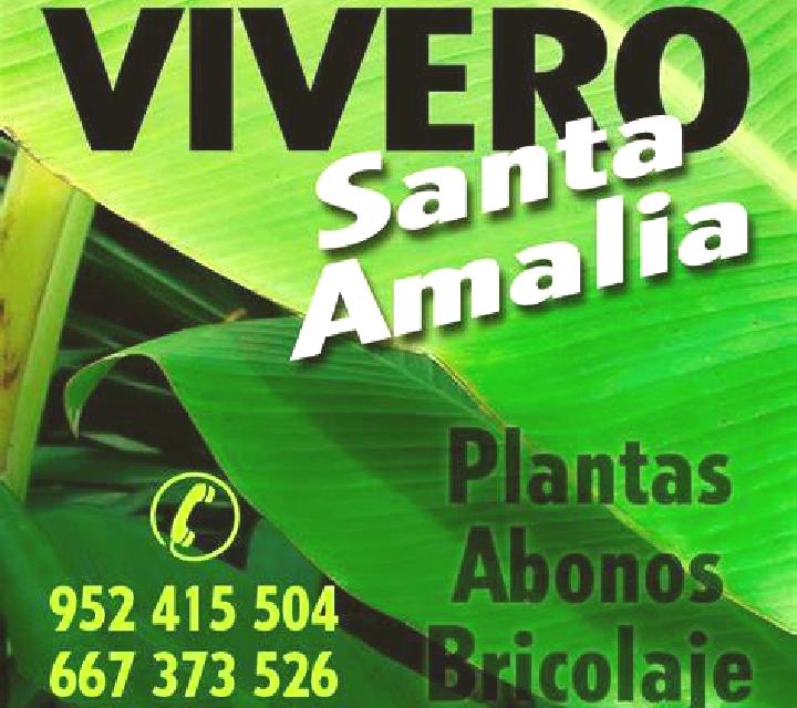 Escorts Vanadjou, Comoras — Chicas y putas locales