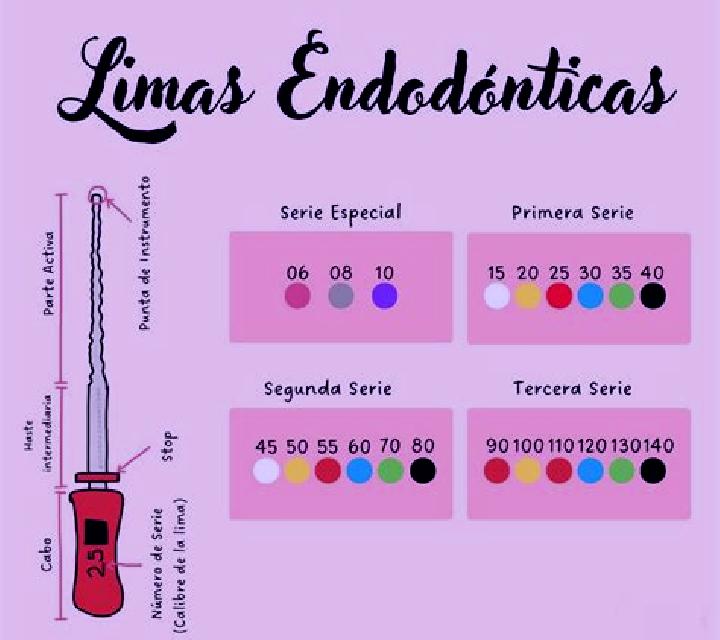Escorts Voykovo, Ucrania — Chicas y putas locales