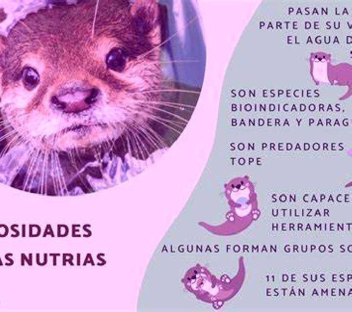 Gabriela, 22, acompañante rubia de ojos oscuros y etnia caribeña basada en Bennekom. Ofrece Masaje erótico, Cita de cena, Masaje de próstata, Francés natural...