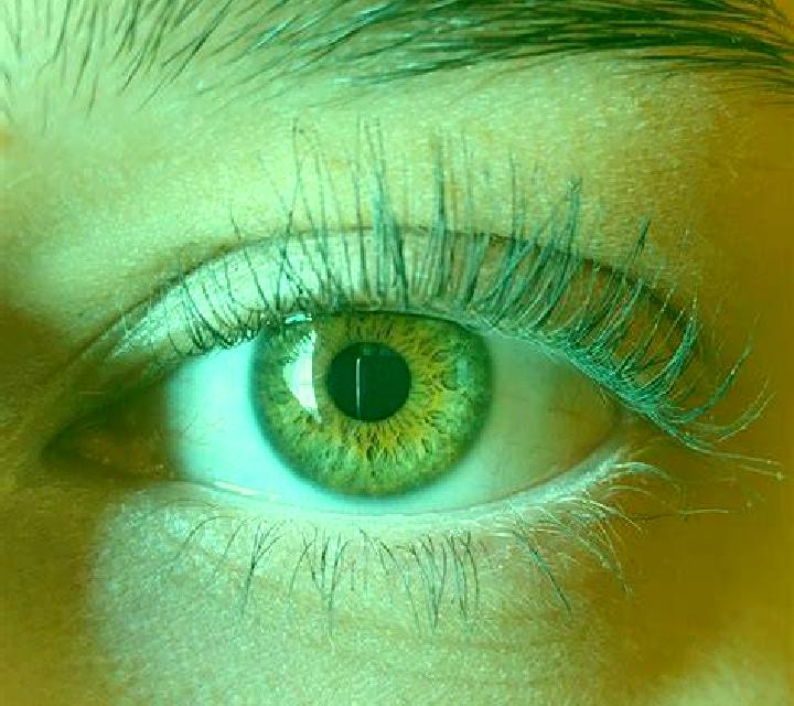 Gabriela, 28, acompañante castaña de ojos marrones y etnia europea basada en Chibougamau. Ofrece Masaje de próstata, Noche completa, Parejas. Disponible en d...