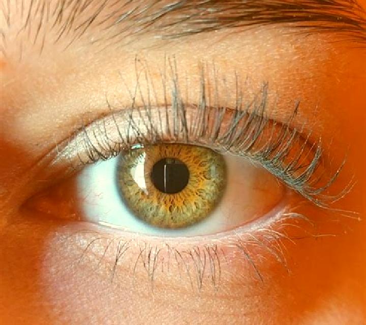 Julia, 25, acompañante morena de ojos azules y etnia mezcla basada en Al Waheda. Ofrece Experiencia de novia, Noche completa, 69, Francés natural. Disponible...