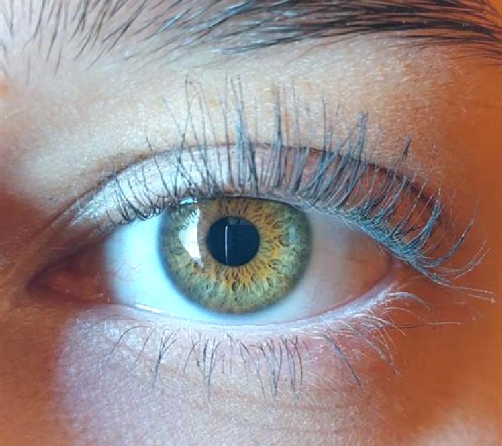 Julia, 26, acompañante castaña de ojos ámbar y etnia mezcla basada en Minervino di Lecce. Ofrece Masaje de próstata, Masaje, Experiencia de novia. Disponible...