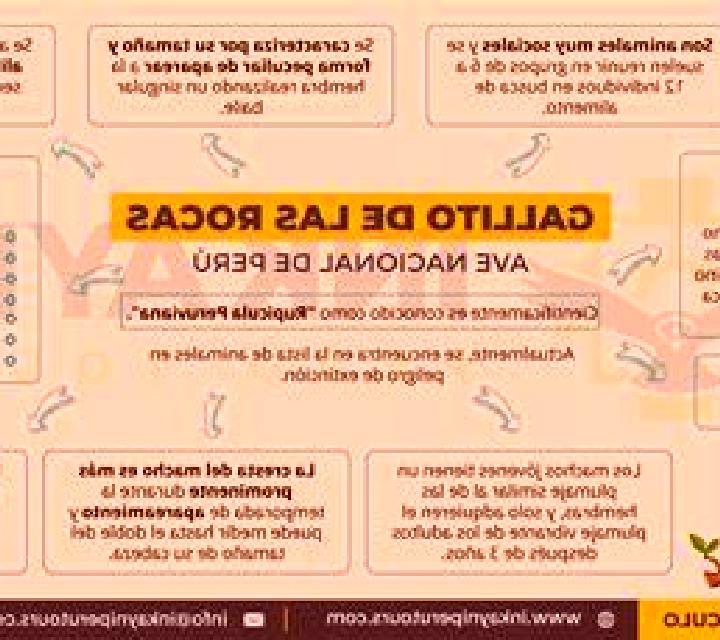 Laia, 24, acompañante castaña de ojos grises y etnia caucásica basada en Belaga. Ofrece Acompañante de viaje, BDSM, Masaje. Disponible en domicilio y visita,...