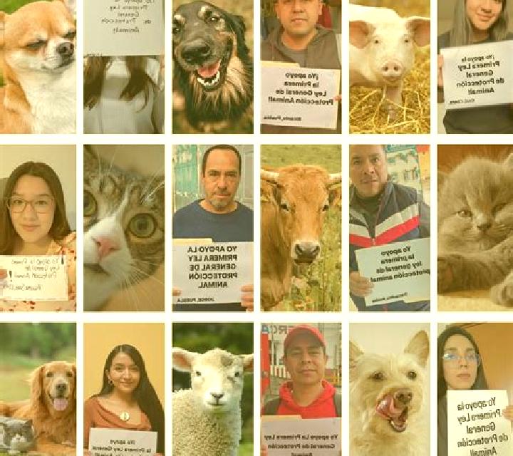 Laia, 27 — Escort en Engure, Letonia