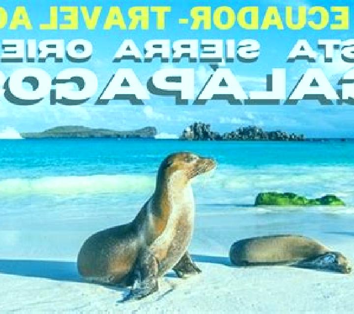 Lola, 24, acompañante rubia platino de ojos grises y etnia eslava basada en Pejibaye. Ofrece Cita de cena, Chica de fiesta, GFE (Experiencia de novia), Juego...