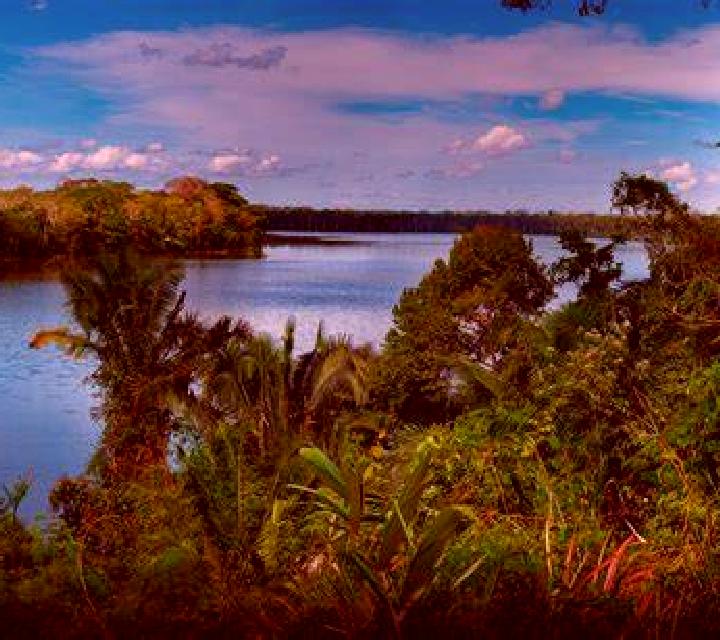 María, 36, acompañante castaño claro de ojos ámbar y etnia latina basada en Zaouiet Azmour. Ofrece 69, Noche completa, Tantra, Francés natural. Disponible en...