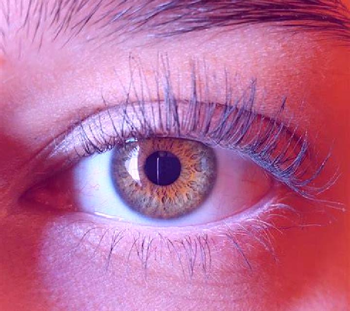 María, 37, acompañante rubia de ojos azules y etnia oriente medio basada en Walford. Ofrece Cita de cena, Fetiche, Striptease, GFE (Experiencia de novia), Ch...