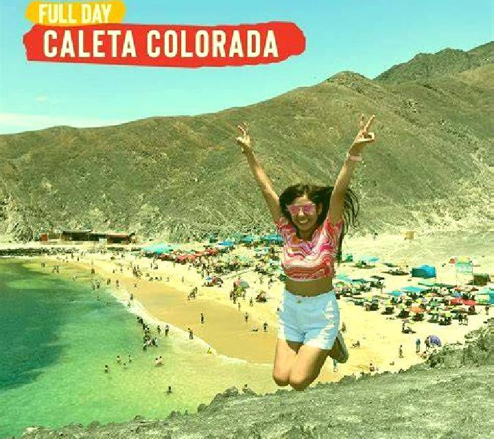 María, 39 — Escort en Kola a, Islas Salomón
