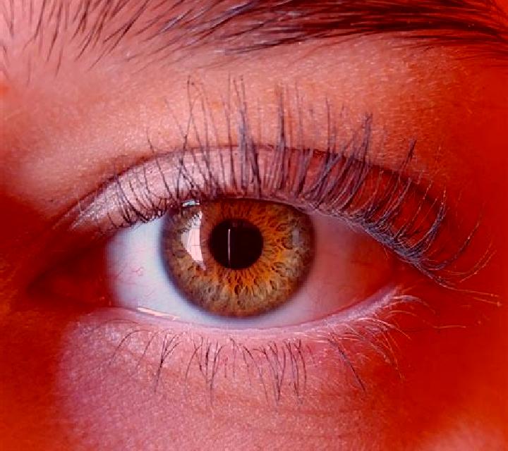 Mariana, 26, acompañante negra de ojos azules y etnia negra basada en Utwe. Ofrece BDSM, Masaje de próstata, Masaje, Striptease, Experiencia de novia. Dispon...
