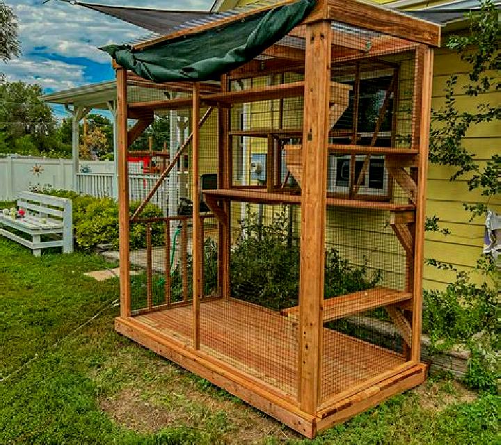 Mariana, 31, acompañante rubia de ojos ámbar y etnia caribeña basada en Korowelang. Ofrece Parejas, Dominación, Beso francés profundo, Francés natural, Exper...