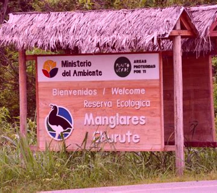 Miriam, 25, acompañante castaña de ojos marrones y etnia negra basada en Msaken. Ofrece Tríos / dúos, Parejas, Noche completa, Hasta el final (CIM), Dominaci...