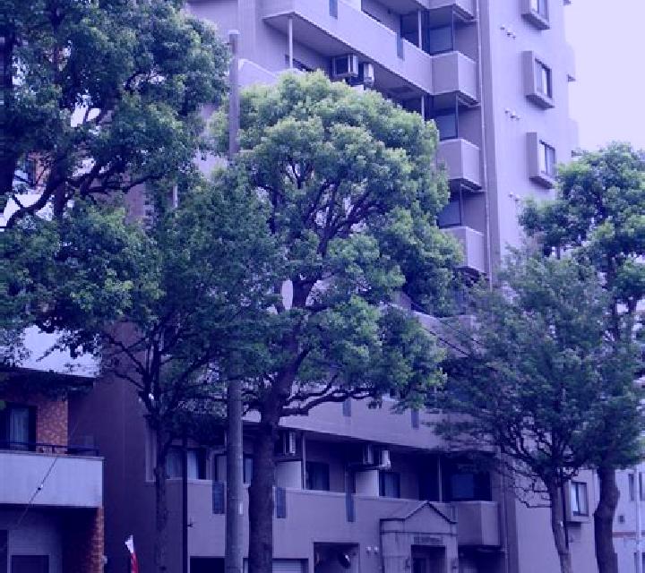 Noa, 24 — Escort en Singa, Sudán