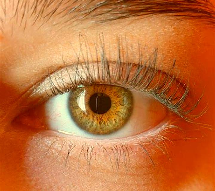 Nora, 29, acompañante morena de ojos azules y etnia latina basada en Marica Abajo. Ofrece Masaje, Chica de fiesta, Hasta el final (CIM), Noche completa, Tant...