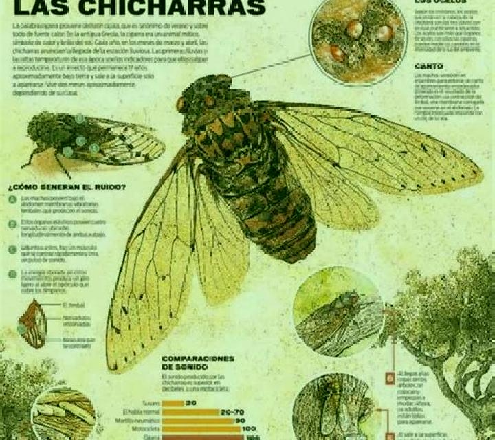 Nora, 29, acompañante negra de ojos avellana y etnia eslava basada en Elva. Ofrece Acompañante de viaje, Hasta el final (CIM), Noche completa. Disponible en ...