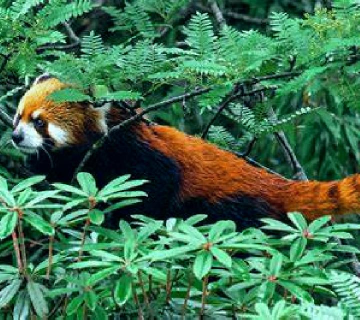 Sara, 30, acompañante castaña de ojos avellana y etnia oriente medio basada en Stocksee. Ofrece Parejas, Francés natural, Cita de cena, Acompañante de viaje....