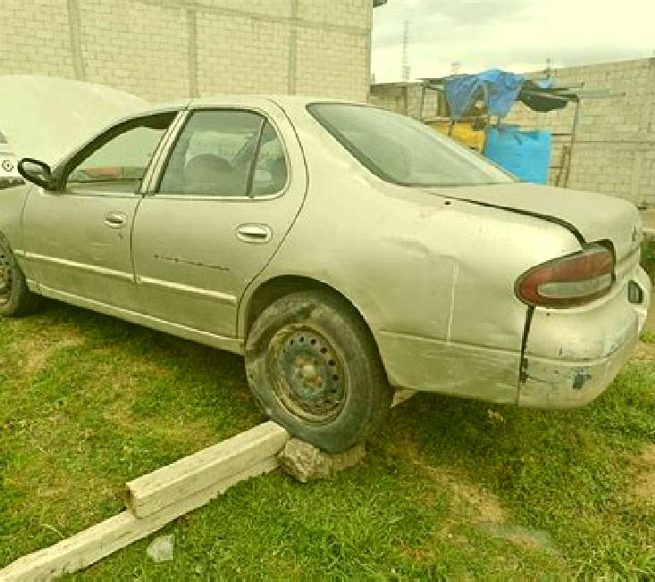 Vega, 21, acompañante castaña de ojos oscuros y etnia europea basada en Arghestan. Ofrece Cita de cena, Juego de roles, GFE (Experiencia de novia), Acompañan...
