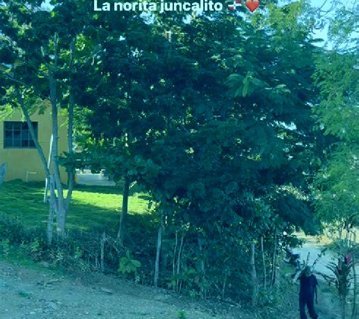 Yasmin, 23, acompañante rubia platino de ojos grises y etnia caribeña basada en Guerara. Ofrece Noche completa, Acompañante de viaje, Masaje de próstata. Dis...
