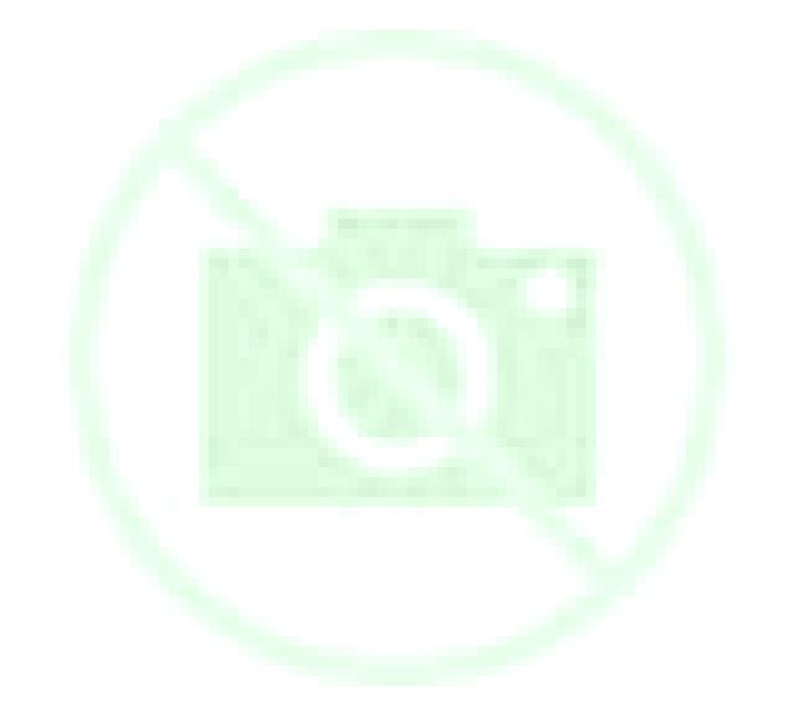 Yasmin, 28, acompañante castaña de ojos verdes y etnia mediterránea basada en Shimoni. Ofrece Griego (anal), Francés natural, Striptease. Disponible en domic...